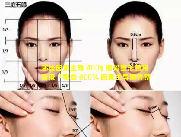 哪些因素主导 🐶 磨骨整形费用高低「哪些 🌾 因素主导磨骨整形费用高低的原因」